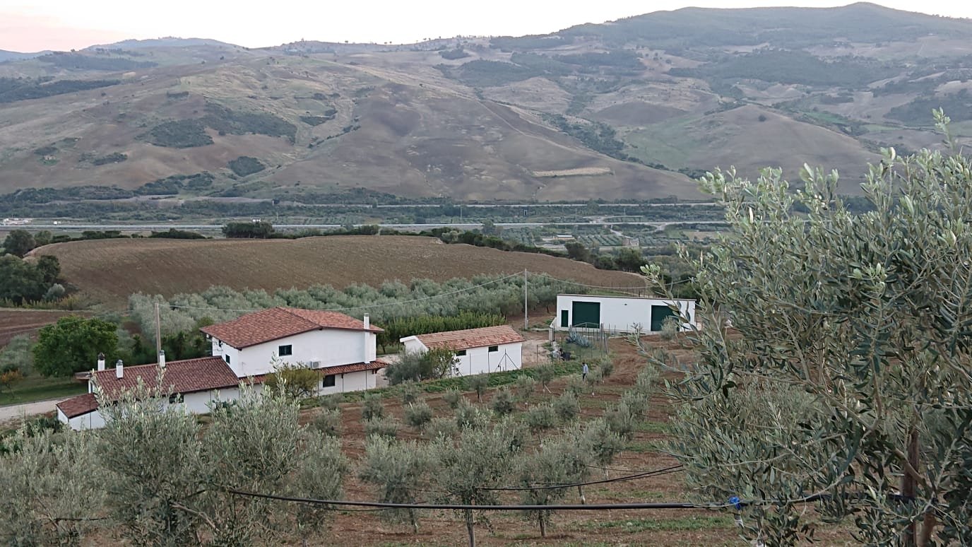 Azienda Agricola Biologica Pirrone