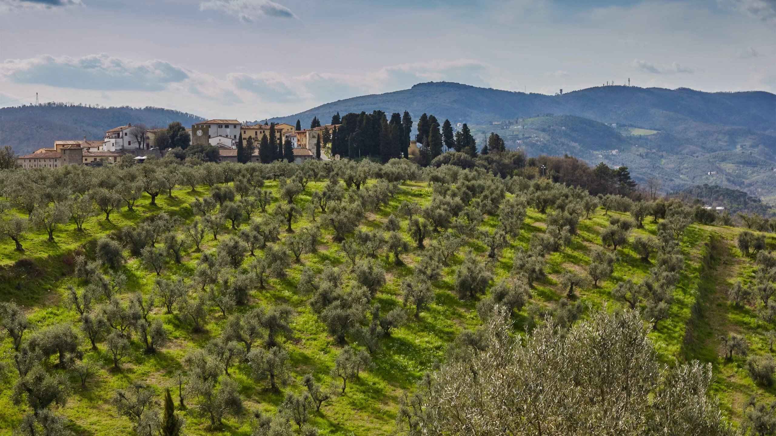 Azienda Agricola CA' de CARTOCCI