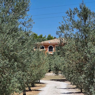 Azienda Agricola EDE